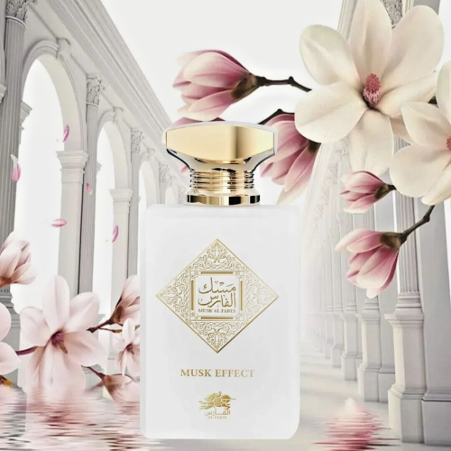 AL FARES MUSK EFFECTV.png