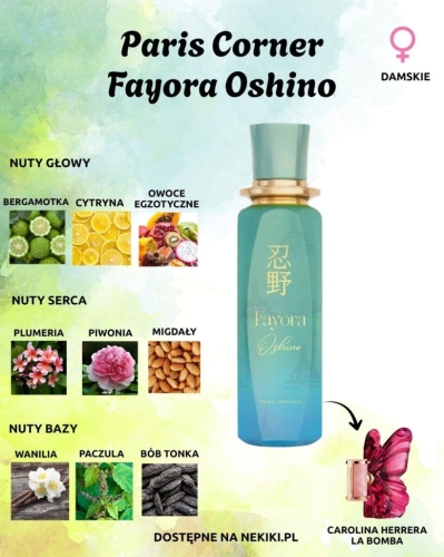 PARIS CORNER FAYORA OSHINO.jpg