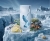 French Avenue Ravine Ice.jpg