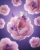 LATTAFA PETRA VIOLA.webp