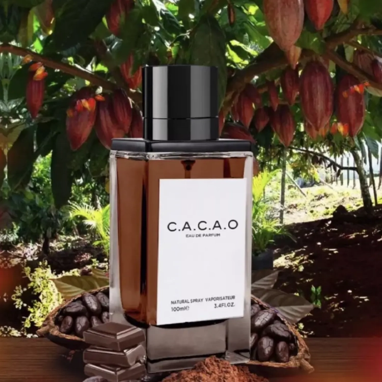 cacao-foto.webp